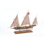 Amati Grieks galjoen (ATI-1419)